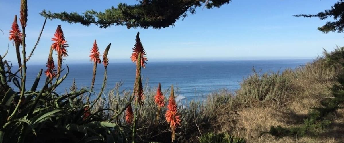 before traveling to Big Sur