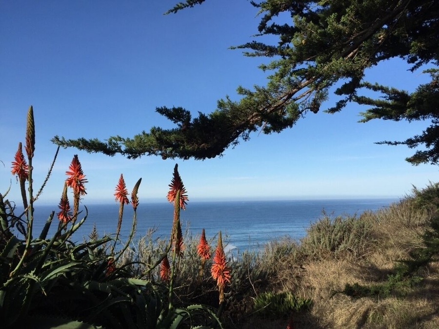 before traveling to Big Sur