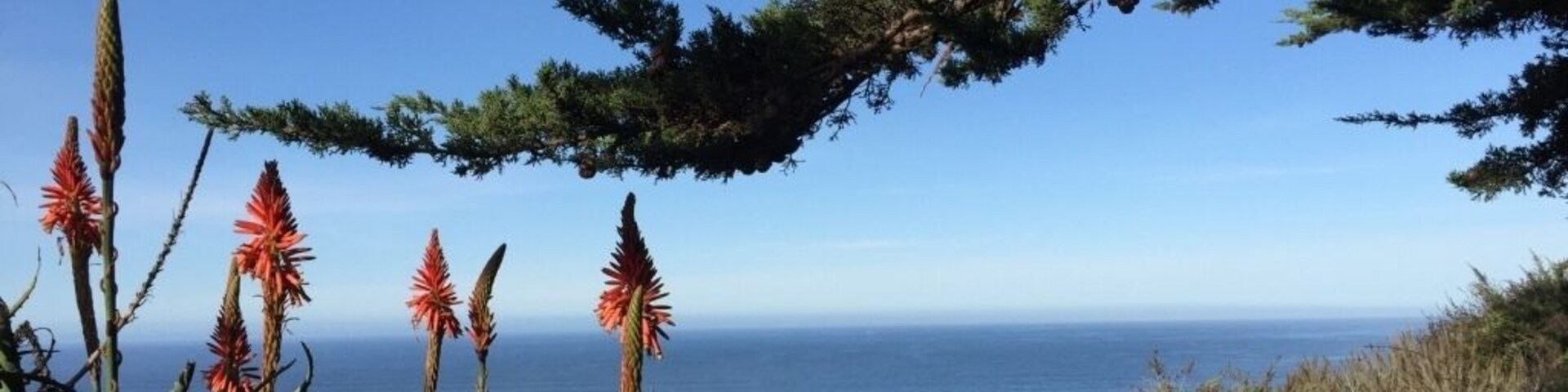 before traveling to Big Sur