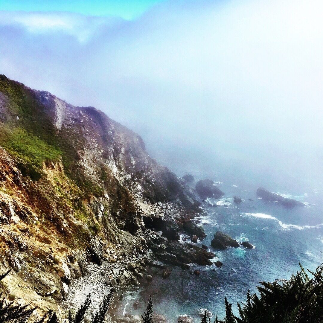 Big Sur on a misty day. Cool and gorgeous.  