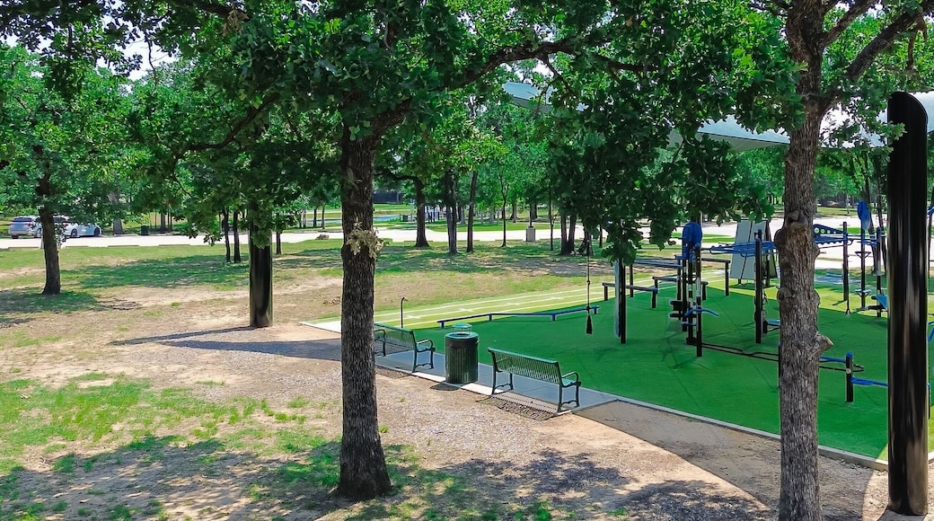 Community Park