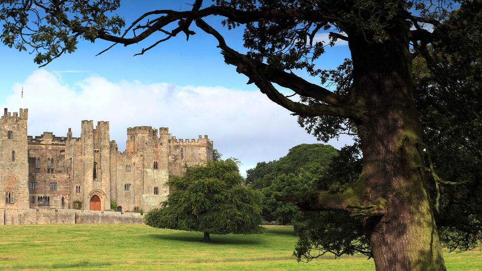 A large medieval castle surrounded by a grassy field and trees.