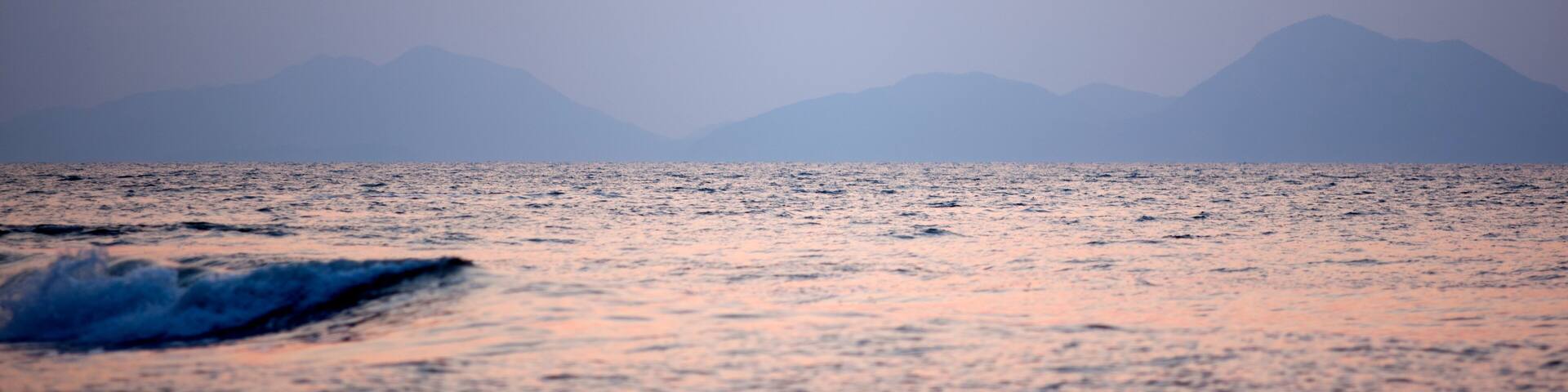 View of the sunset with the flying seagulls at the seaside