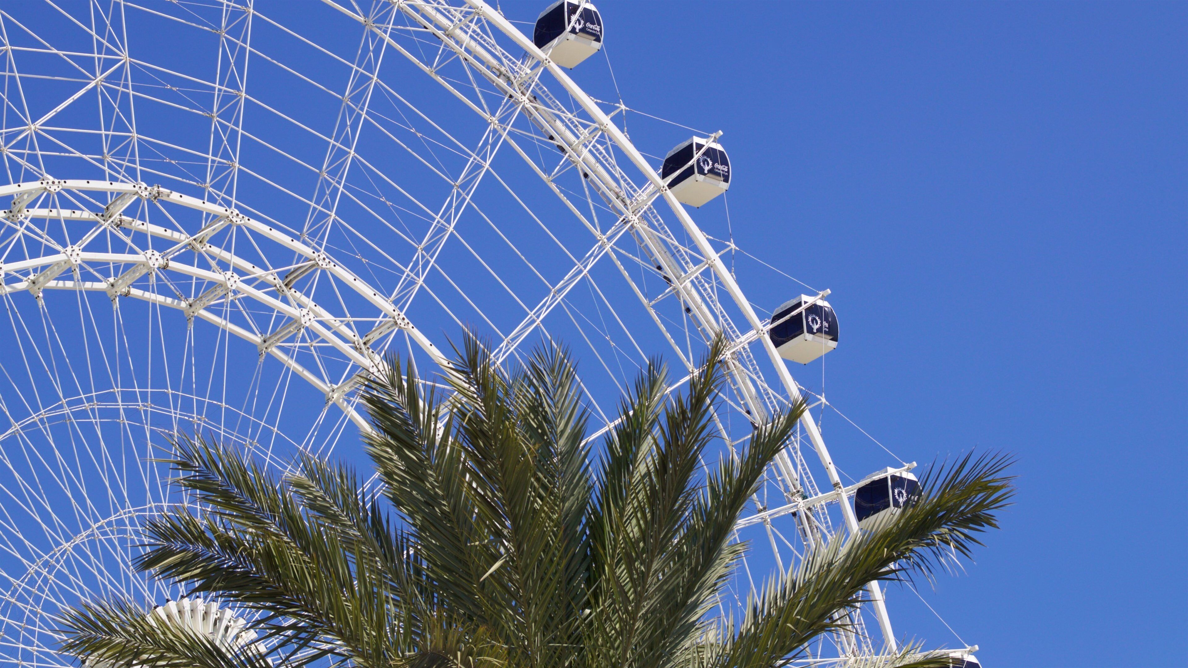 The Wheel at ICON Park™