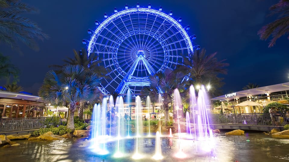 The Orlando Eye