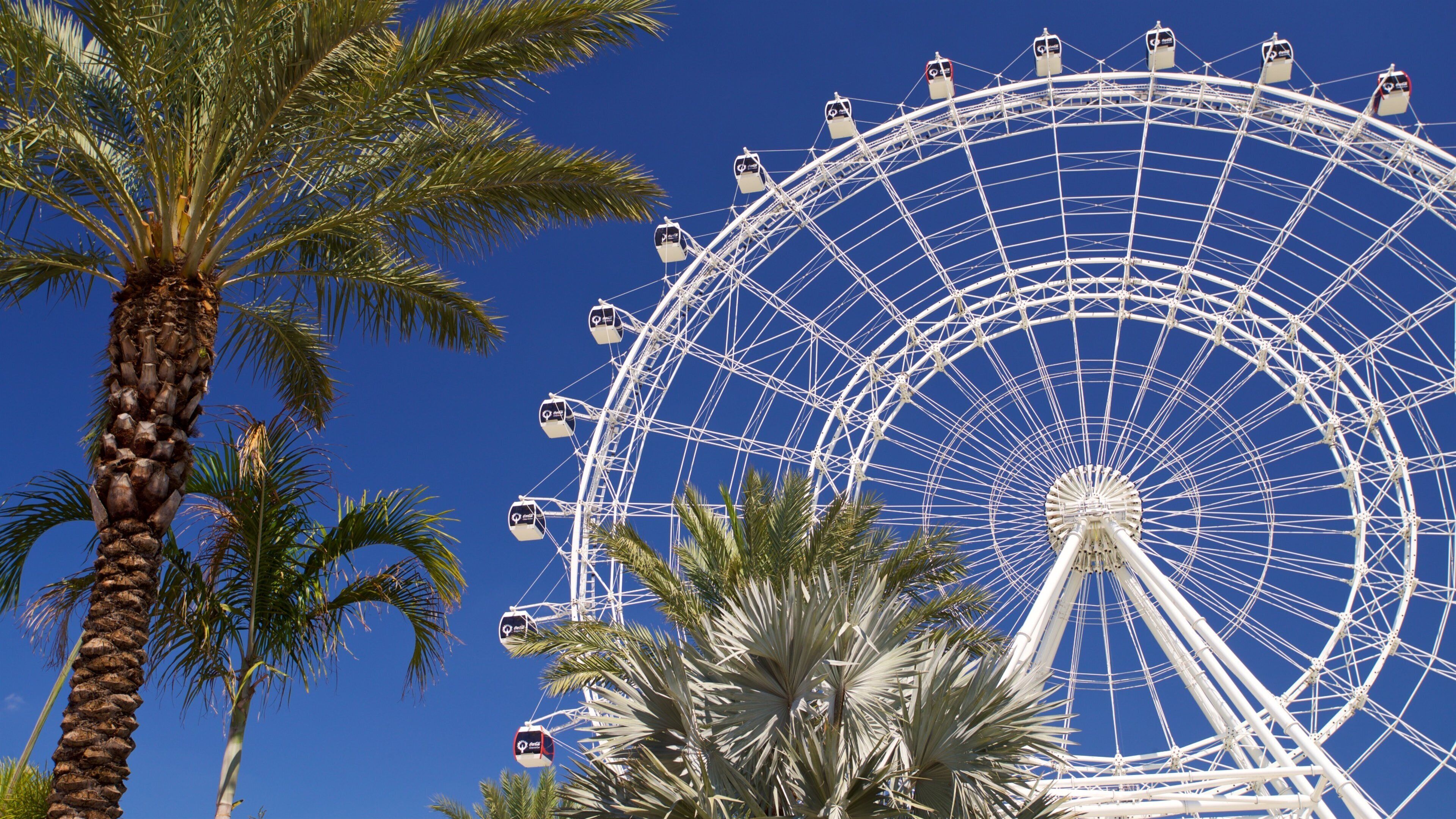 The Wheel at ICON Park™
