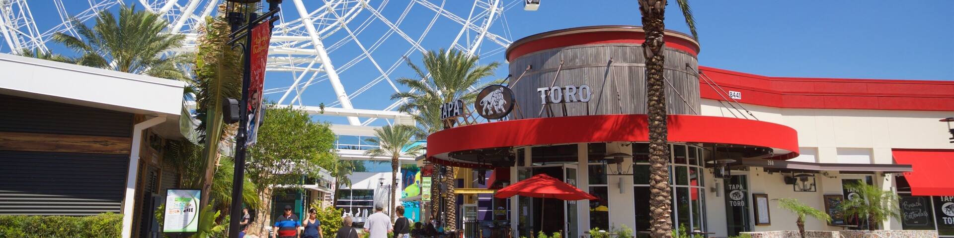 The Wheel at ICON Park™