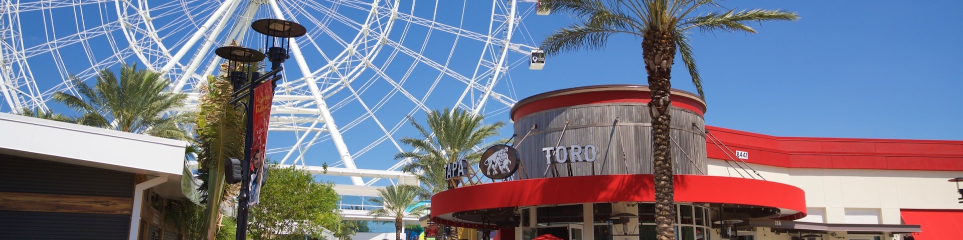 The Wheel at ICON Park™