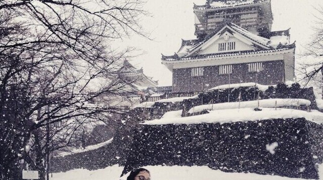 Maybe Ono castle was a bad idea on this day.
今日大野城へ行きました. 悪い一案だたと思うかも…
Ono Castle is famous for the "Castle in the Sky" campaign since it is on top of the mountain surrounded by mist giving it the appearance of flying but its just as beautiful surrounded in snow. Don't step off the path though. That's obviously a bad idea.
#snow #japan #snowapocalypse #雪 #大野 #福井 #日本の城