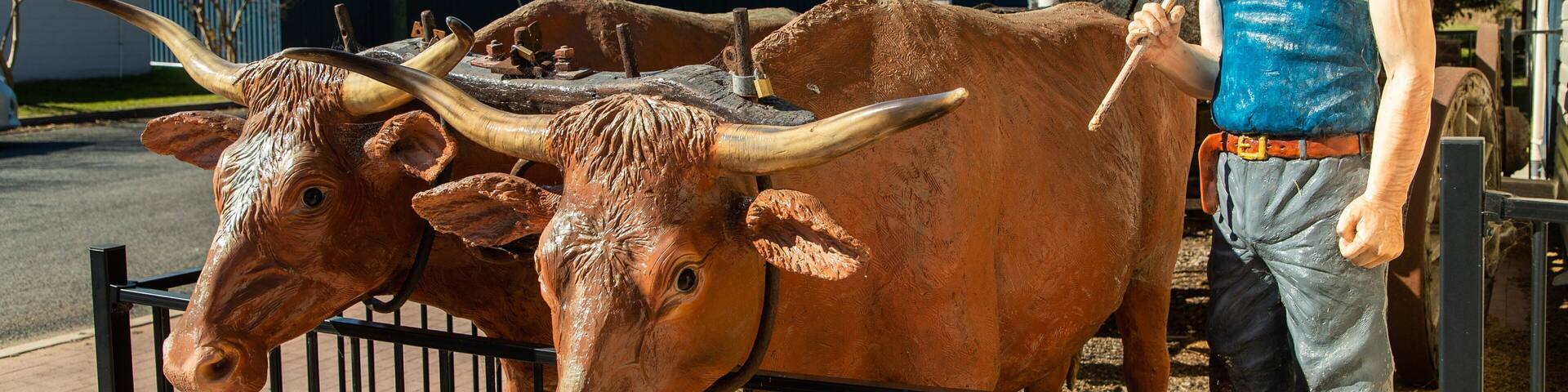 Killarney Heritage Centre featuring outdoor art