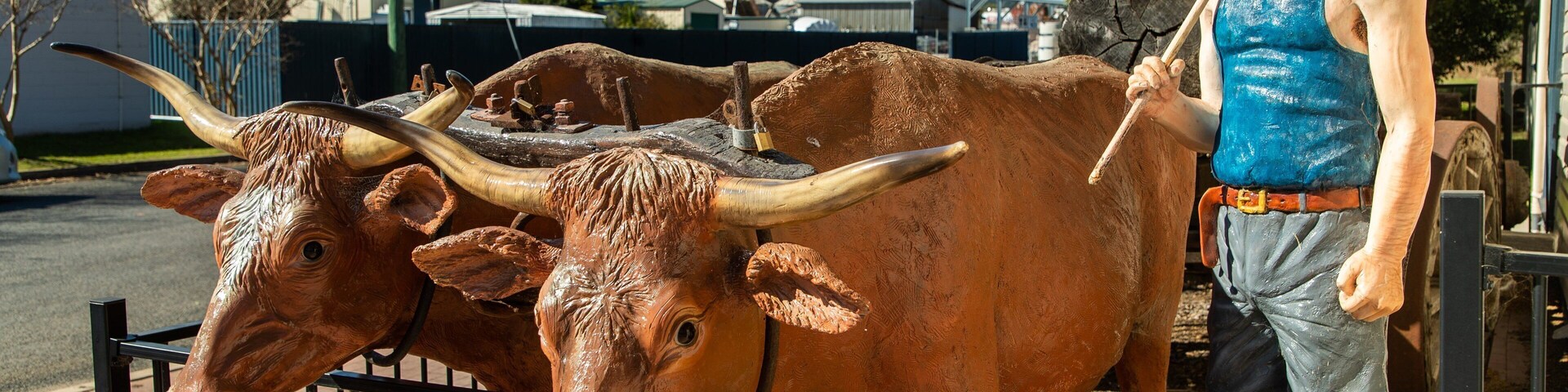 Killarney Heritage Centre featuring outdoor art