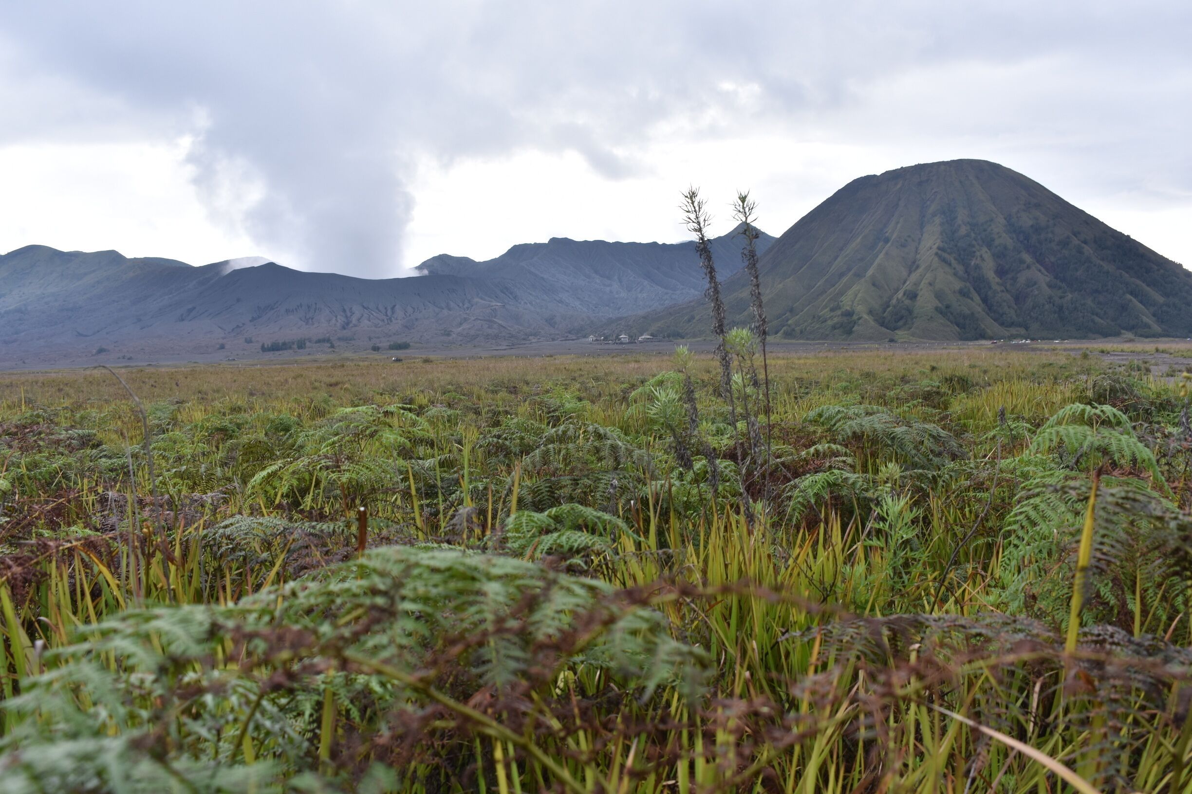 Smokin Bromo. If you don't feel like paying for the 4x4's, you can walk through the sea of sand, if you find the small track just past the cemera indah hostel it's completely free! 