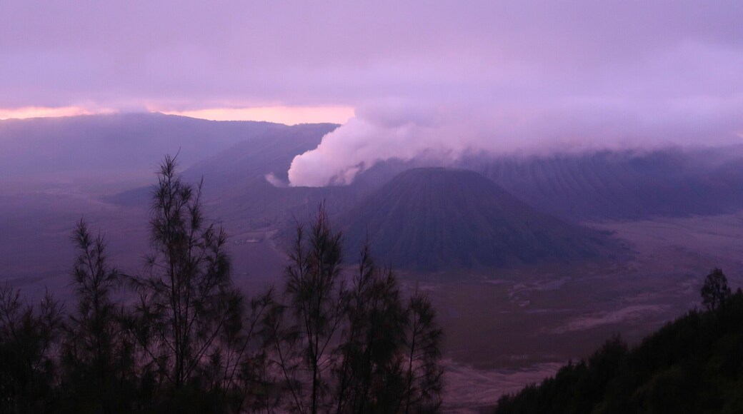 Around 4 a.m. - first view of an active Bromo volcano after sunrise - an unforgettable experience and totally worth coming up here so early!!
#endlesssummer #volcano #volcanos #indonesia #java #bromo #photographer #photogrraphy #travel #adventure #extreme