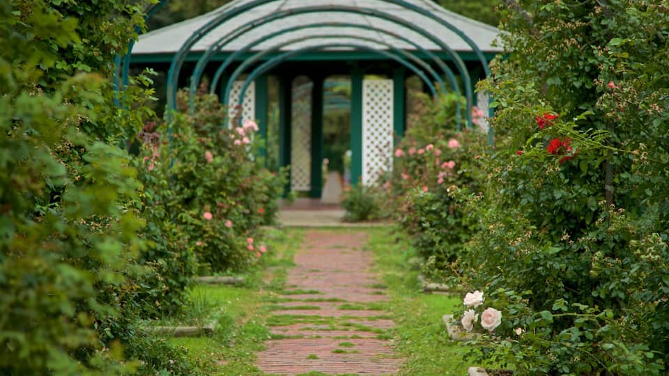 A garden pathway leading to a green gazebo surrounded by lush greenery and blooming flowers.