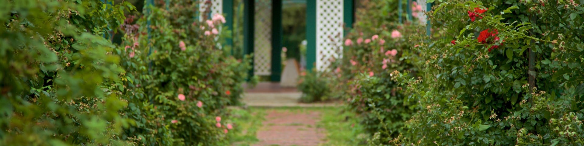 Rosaleda E.M. Mills ofreciendo flores silvestres y un parque
