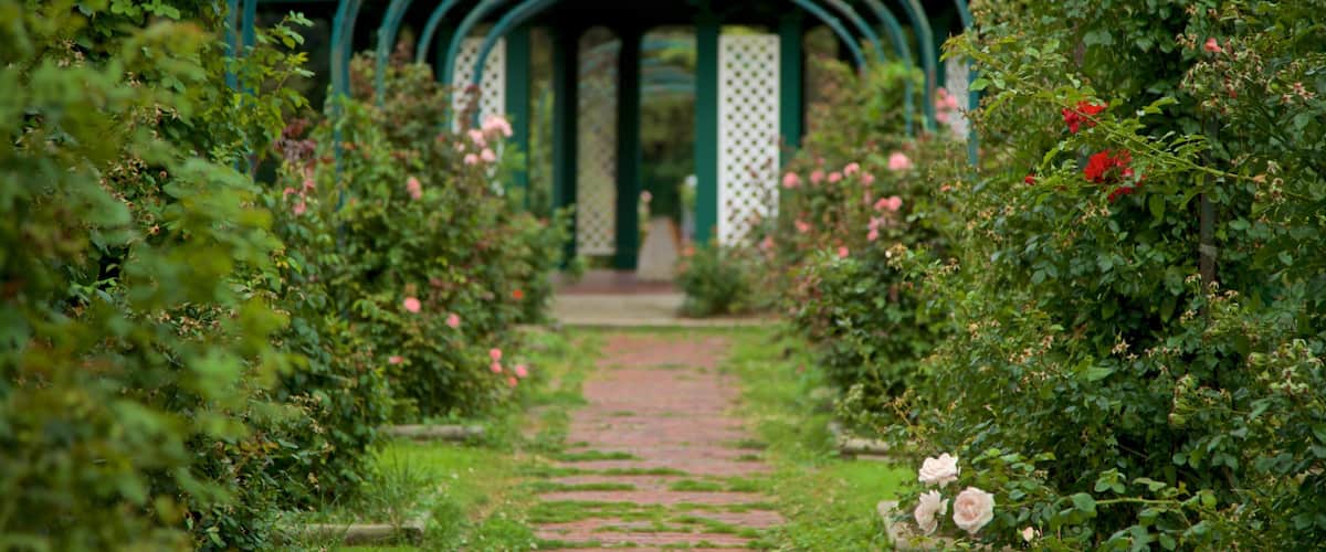 A garden pathway leading to a green gazebo surrounded by lush greenery and blooming flowers.