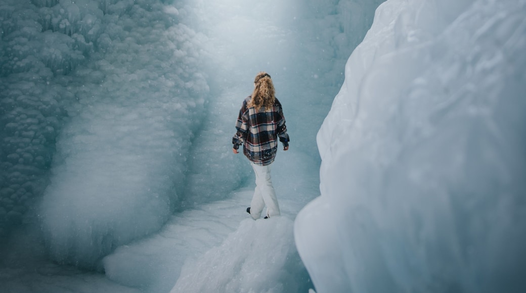Such an amazing hidden gem, especially in winter. So many people drive by on the road, just a 10minute walk above, never even knowing the wonderland that lies below..
Panther falls, frozen in winter.
#hiddengem #mybackyard #trovember #banff #canada #ice