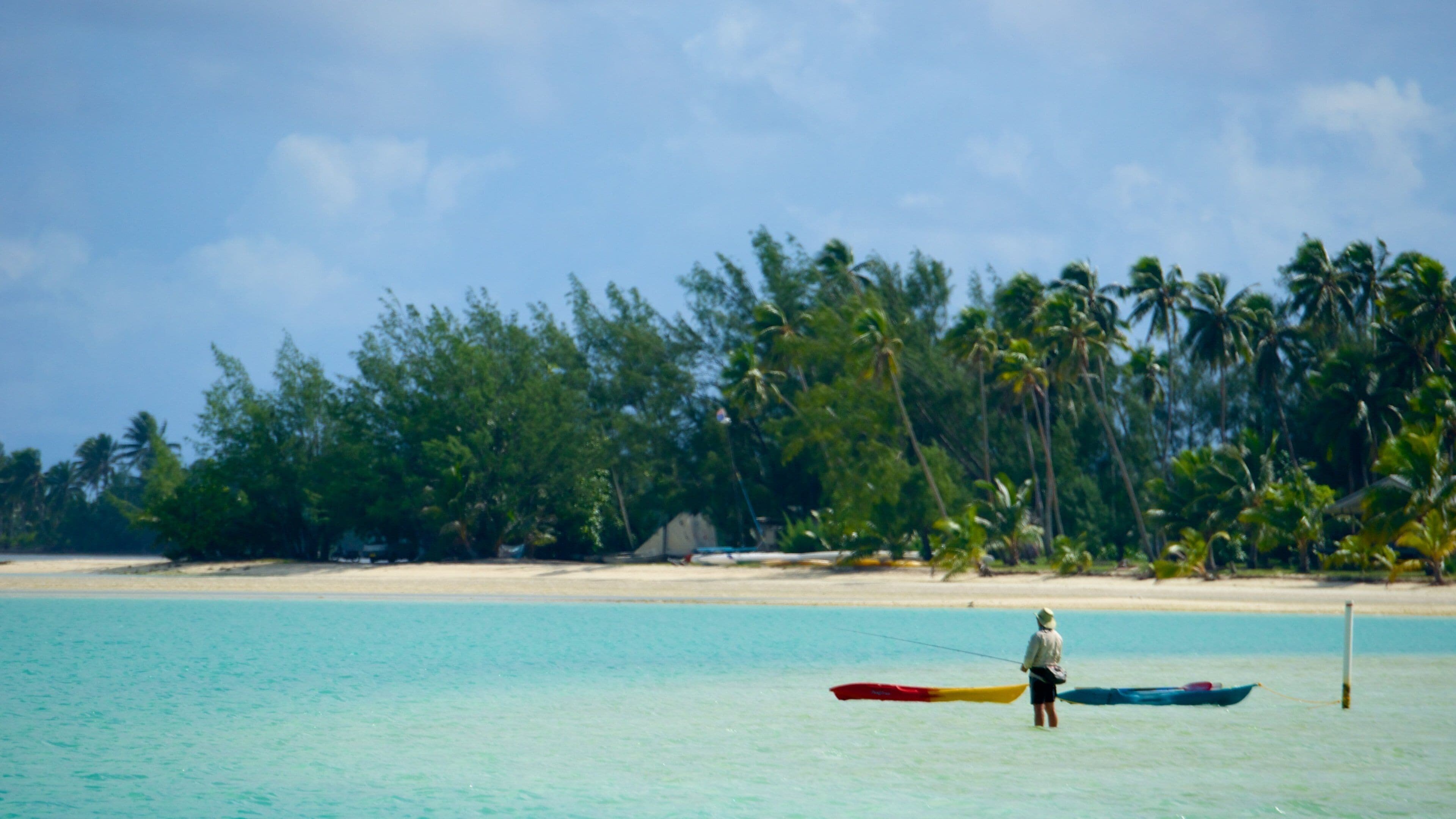 Cook Islands featuring a sandy beach and fishing as well as an individual male