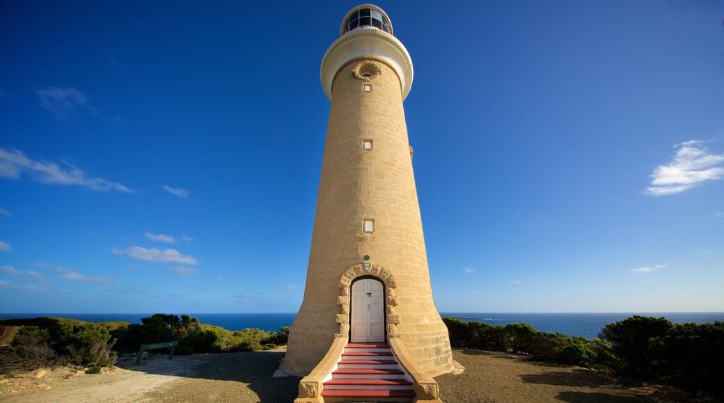 Cape du Couedic Lighthouse showing a lighthouse and general coastal views