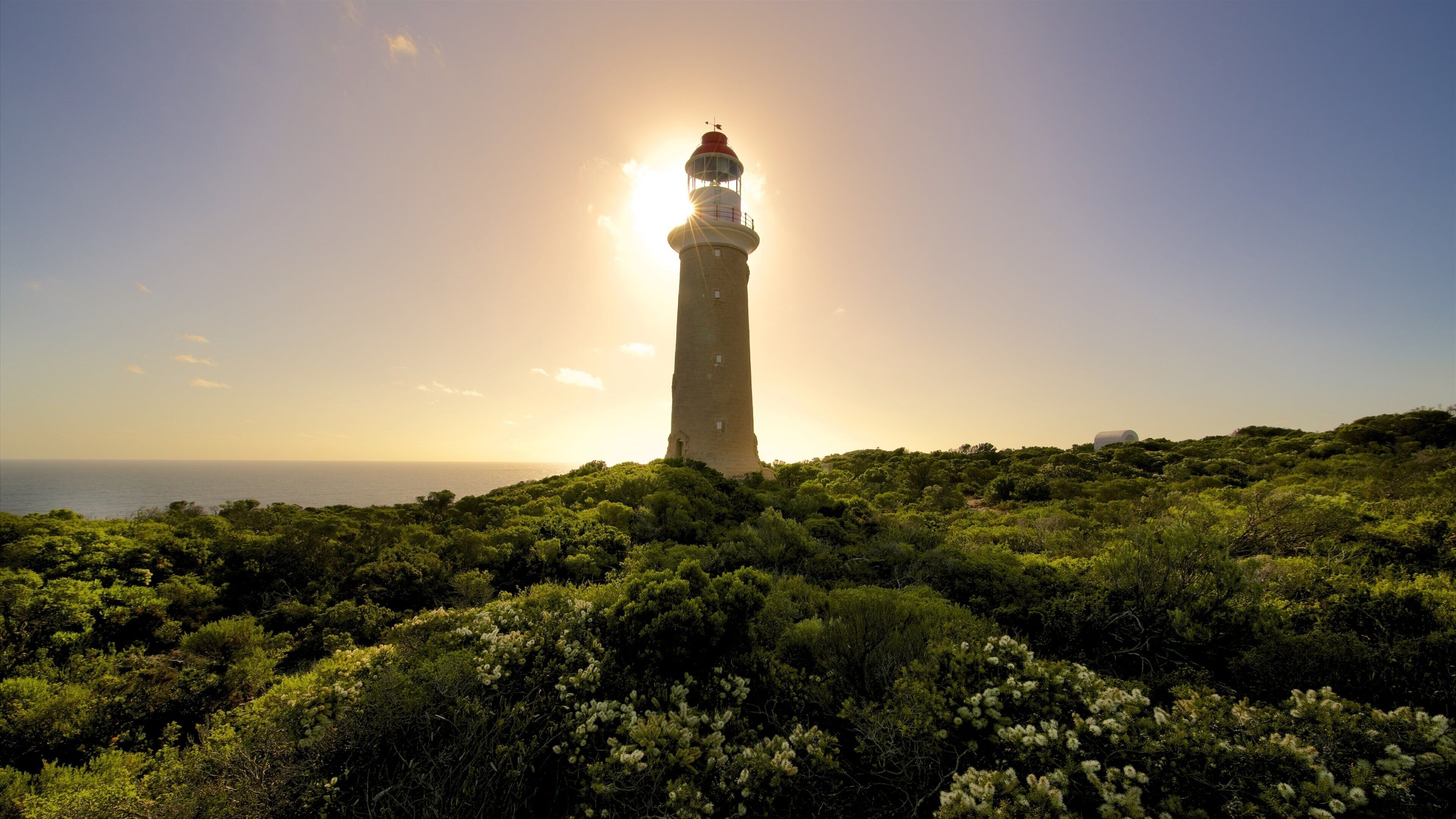 A lighthouse on a hill with dense greenery and the sun setting in the background.