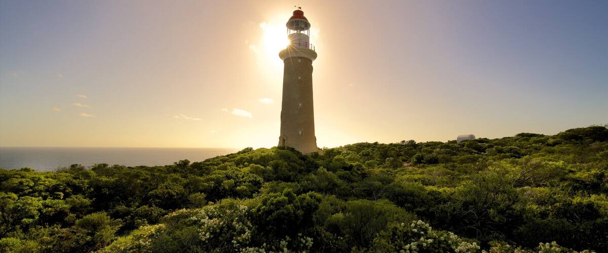 A lighthouse on a hill with dense greenery and the sun setting in the background.