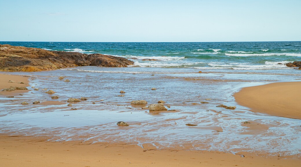 Deepwater National Park showing a beach and general coastal views