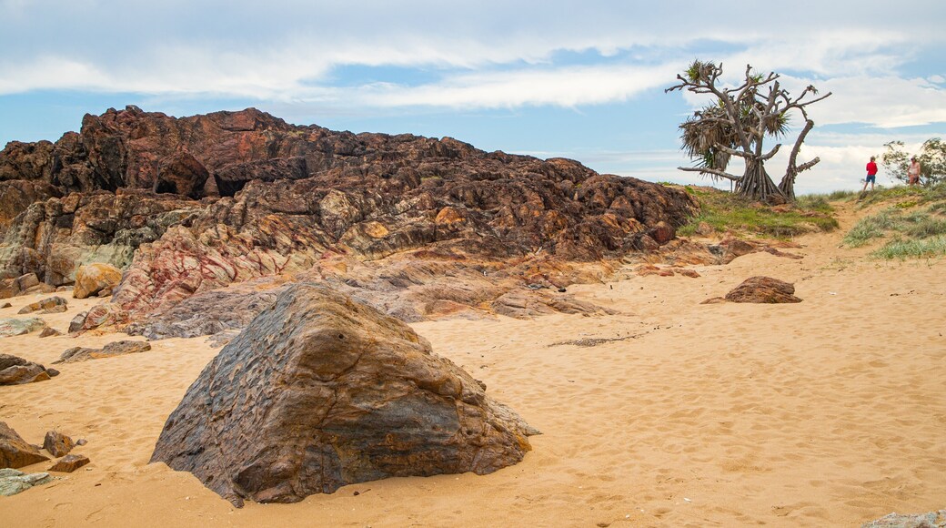 Deepwater National Park showing rugged coastline and a sandy beach