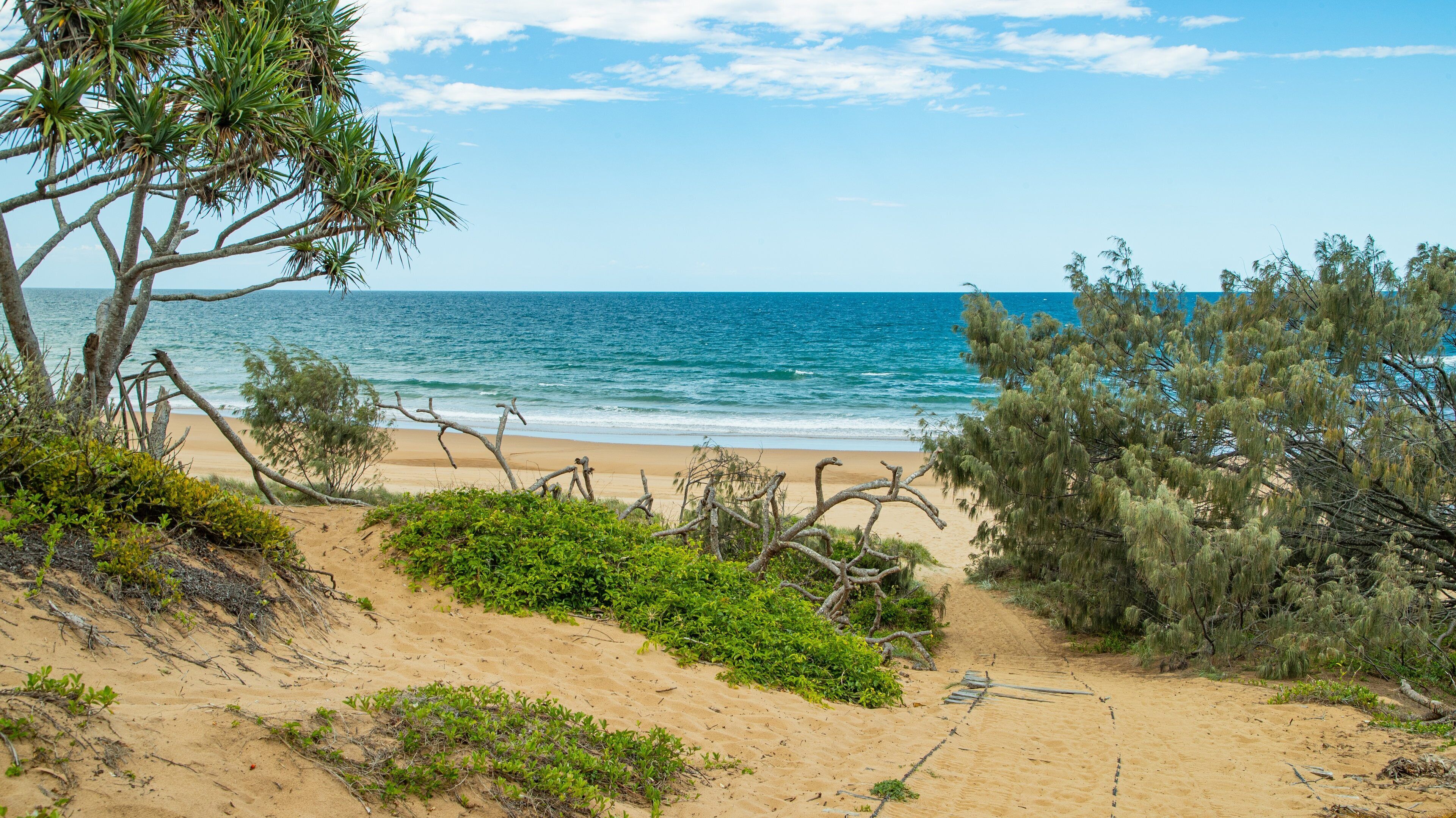 Deepwater National Park which includes a beach and general coastal views