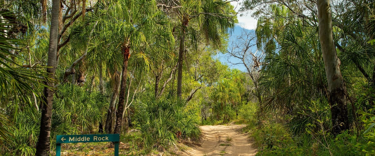 Deepwater National Park featuring a sandy beach, signage and forest scenes