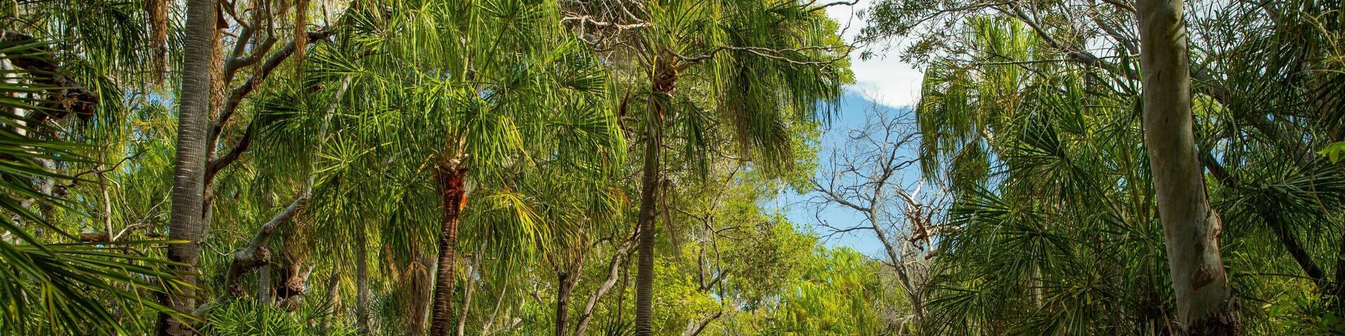 Deepwater National Park featuring a sandy beach, signage and forest scenes