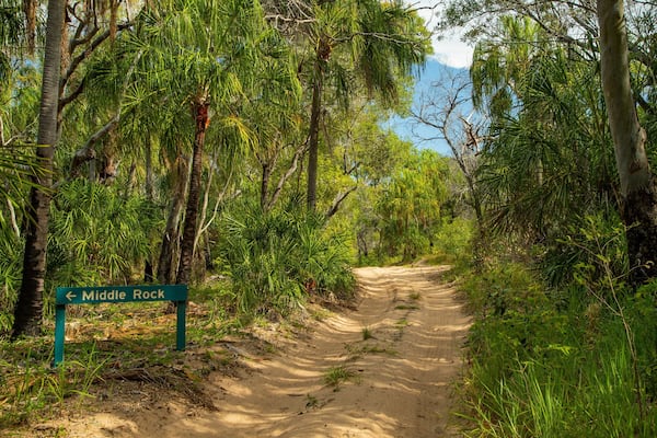 Deepwater National Park featuring a sandy beach, signage and forest scenes