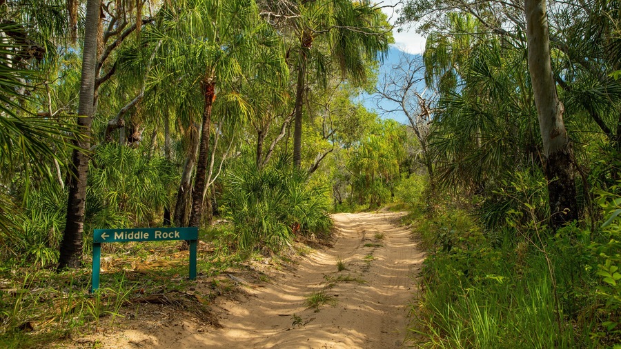 Deepwater National Park featuring a sandy beach, signage and forest scenes