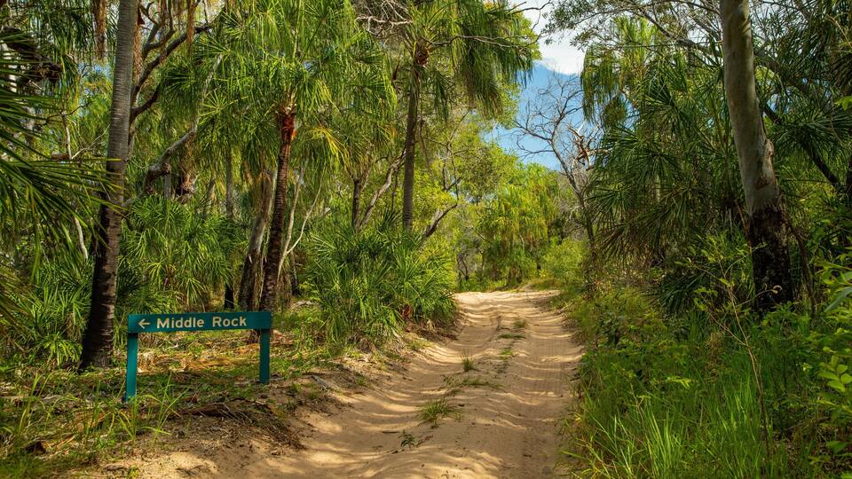 A dirt path leading to Middle Rock, surrounded by dense tropical vegetation and trees.
