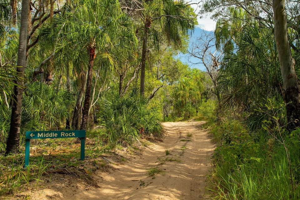 A dirt path leading to Middle Rock, surrounded by dense tropical vegetation and trees.