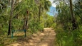 A dirt path leading to Middle Rock, surrounded by dense tropical vegetation and trees.
