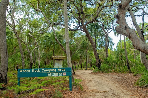 Deepwater National Park which includes forests and signage