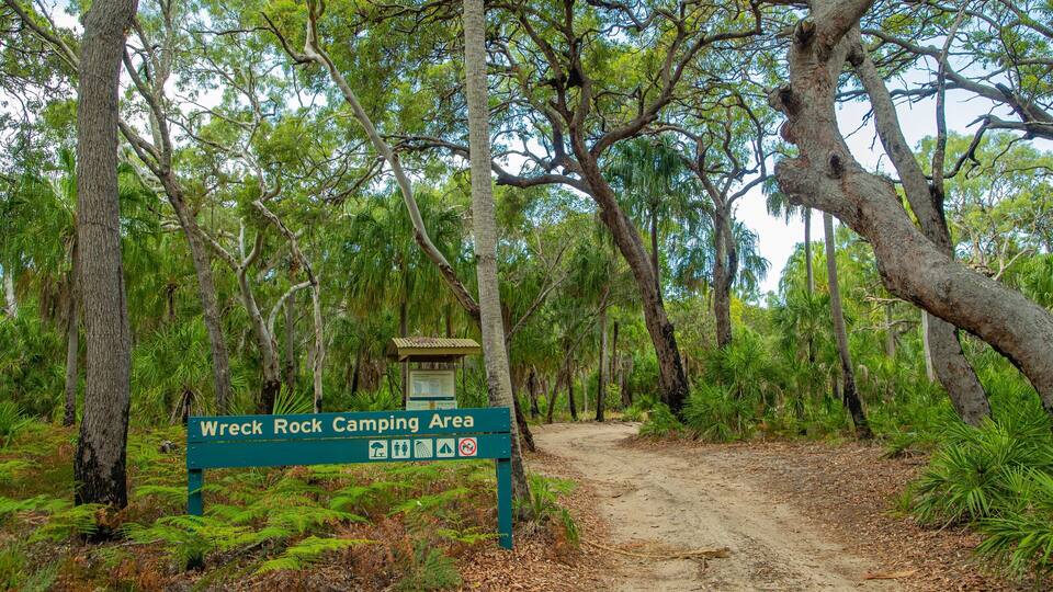 A sign for Wreck Rock Camping Area surrounded by dense forest.