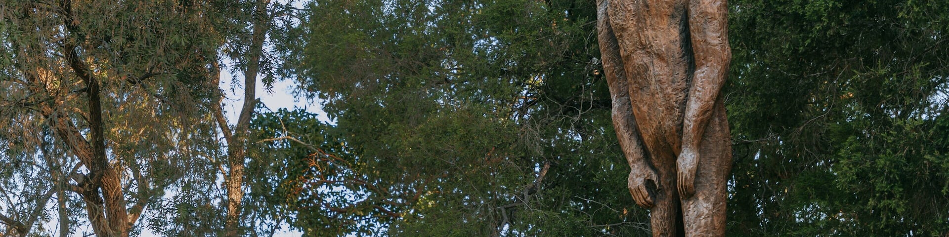 Yowie Park showing outdoor art and a statue or sculpture