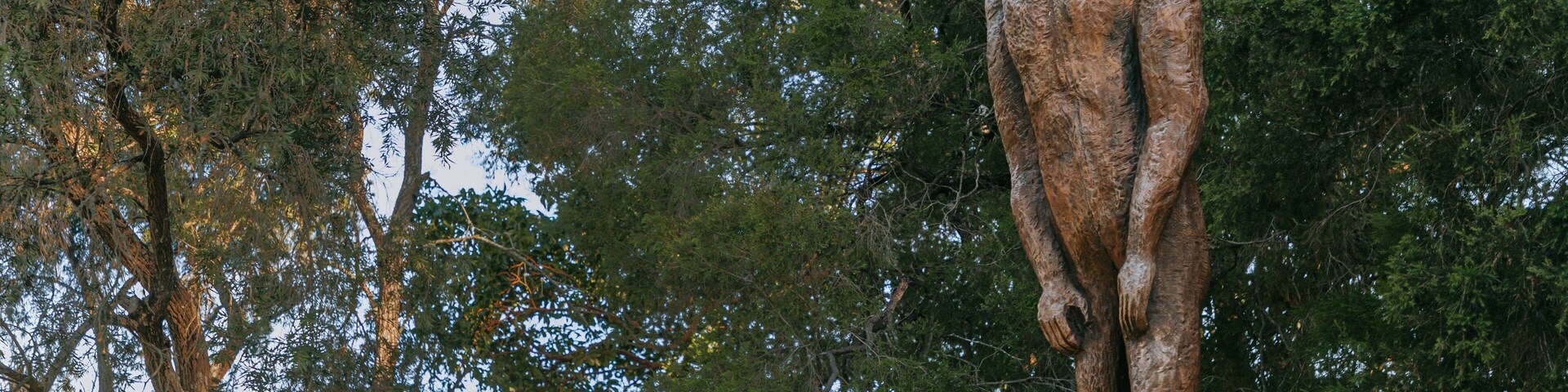 Yowie Park showing outdoor art and a statue or sculpture