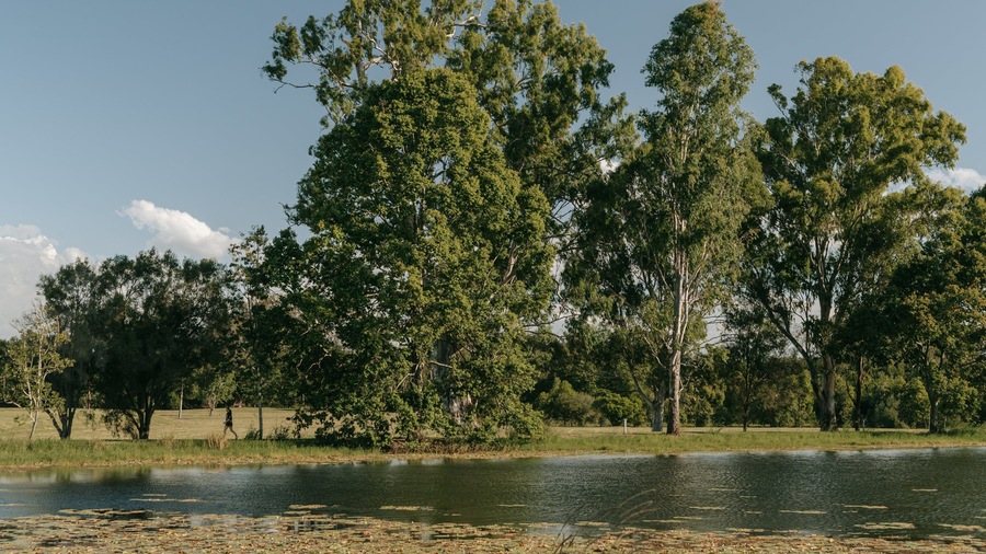 Yowie Park which includes tranquil scenes and a lake or waterhole