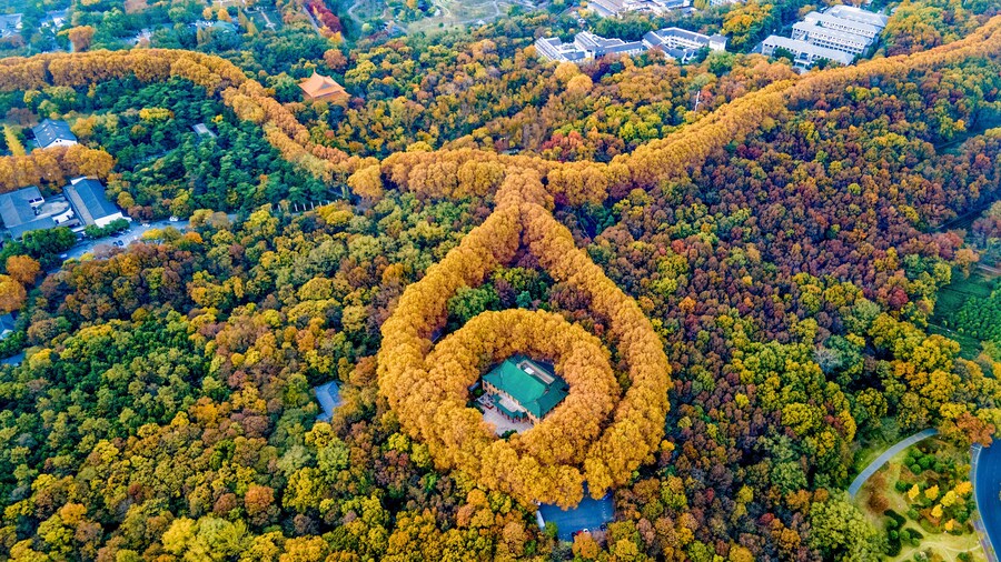 Aerial photography of Meiling Palace Scenic Spot in Nanjing City, Jiangsu Province, China in autumn and the Nanjing urban building complex in the distance