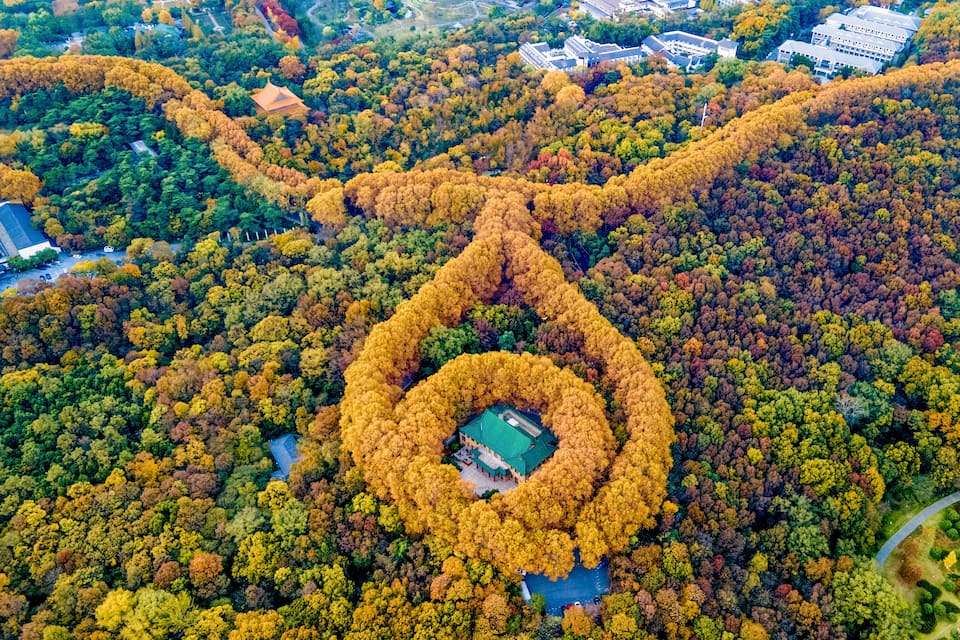 An aerial view of a park with a central circular area surrounded by trees in autumn colors.