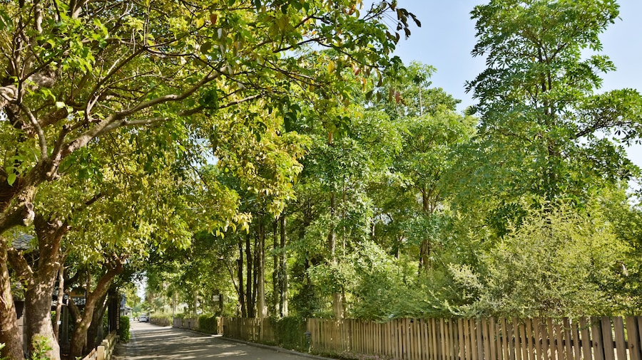 Ancien site forestier de Luodong