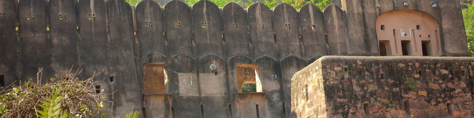 Sawai Madhopur which includes a castle and heritage elements