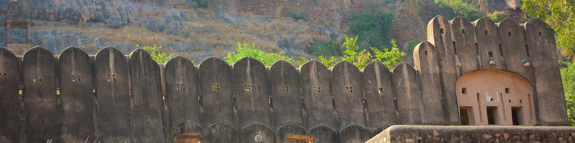 Sawai Madhopur welches beinhaltet Palast oder Schloss und Geschichtliches