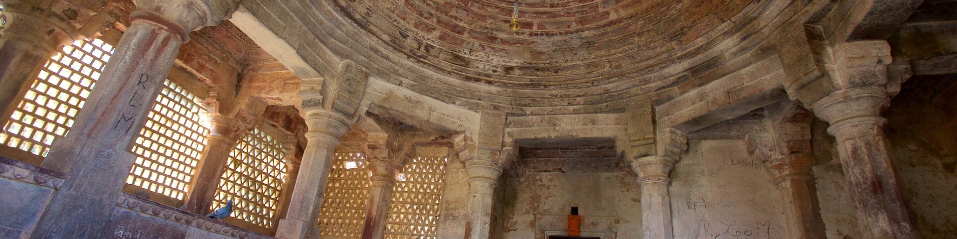 Sawai Madhopur which includes interior views and heritage elements