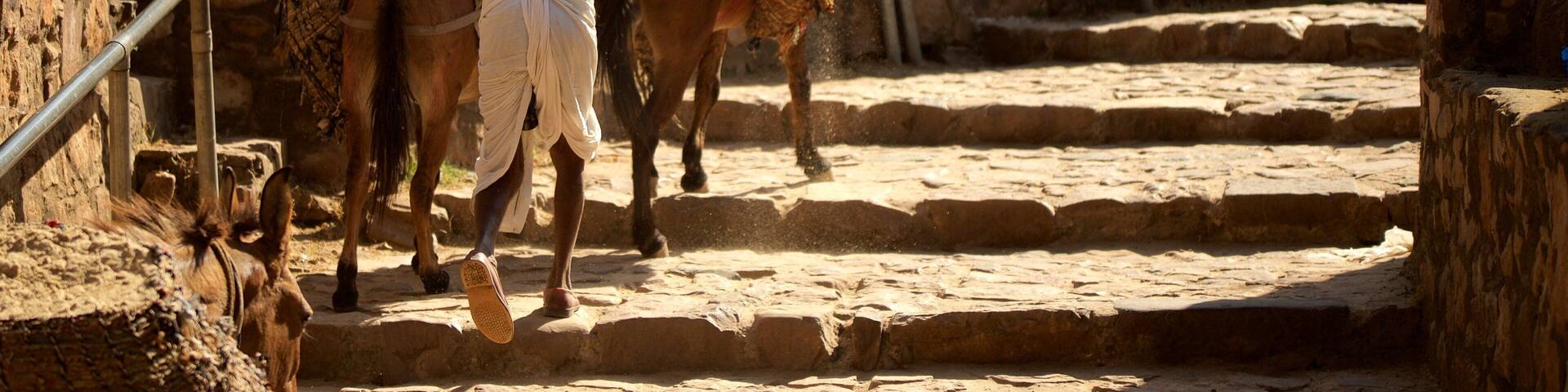 Sawai Madhopur das einen Tiere sowie einzelner Mann