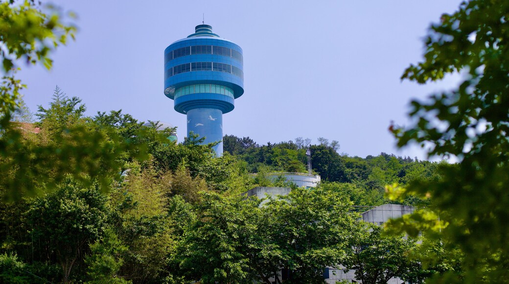 Geumgang-vogelreservaat