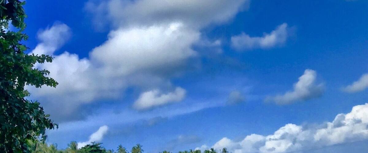 Nice place, good food... Quite difficult to reach, you need a good car...