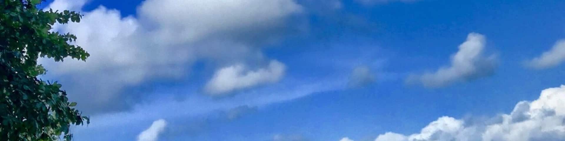 Nice place, good food... Quite difficult to reach, you need a good car...